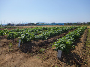 Dscf6058