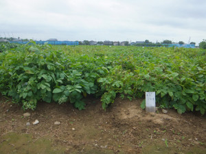Dscf6170