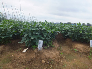 Dscf6173_2