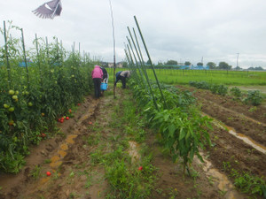 Dscf6226